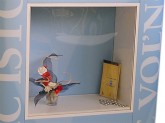 Front show - case