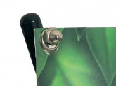 Catching of grapfic X Banner